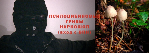 соль курить ск Яровое