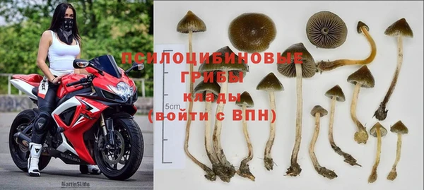 соль курить ск Яровое