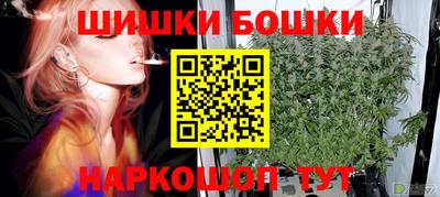 гашик Берёзовский