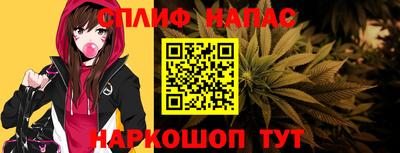 СК Абакан