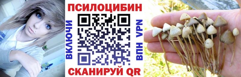 Галлюциногенные грибы мицелий  Ярославль 