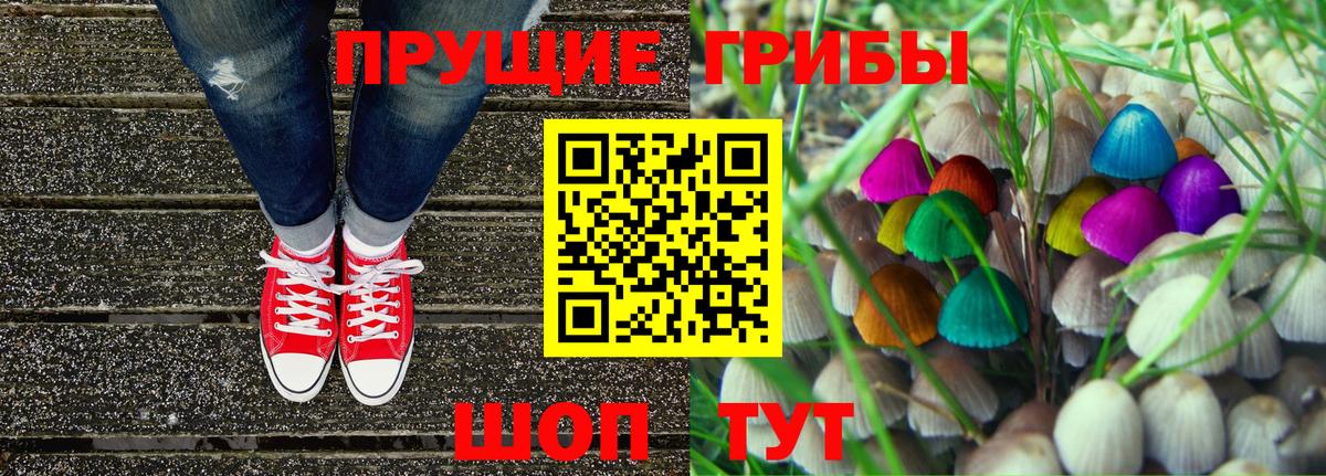 Псилоцибиновые грибы Cubensis  купить   Ярославль 