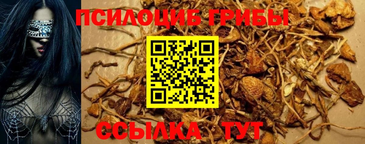 Галлюциногенные грибы мухоморы Ярославль