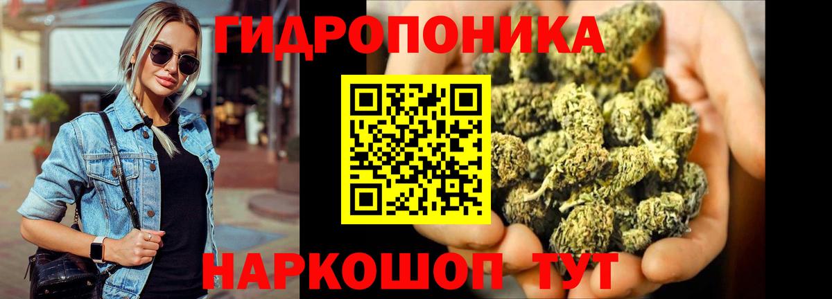 Канабис White Widow  Канабис White Widow  Шишки марихуана марихуана  Ярославль  Вход с VPN  Каннабис AK-47 